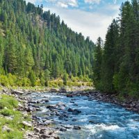 Roadless Rule repeal could threaten drinking water for millions