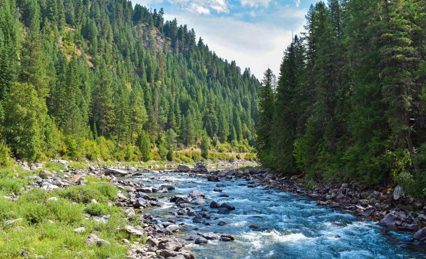 Roadless Rule repeal could threaten drinking water for millions